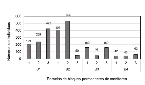Número de individuos por parcela en los bloques permanentes de monitoreo.