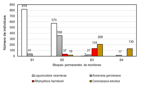 Número de especies por bloque permanente de monitoreo.