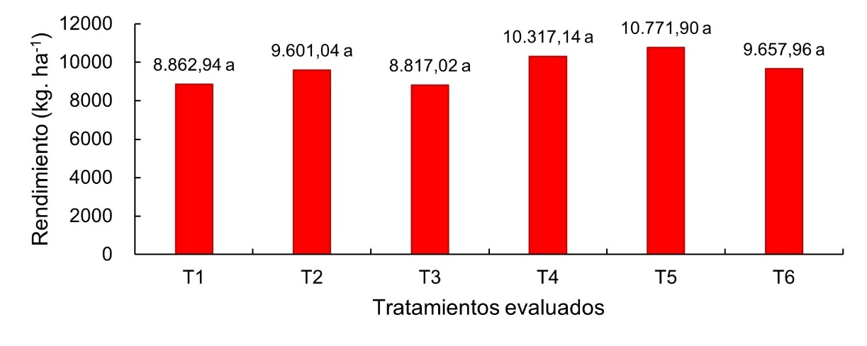 Rendimiento (kg ha-1) obtenido en el cultivo de arroz, en los diferentes tratamientos evaluados (Tukey = 0,05).