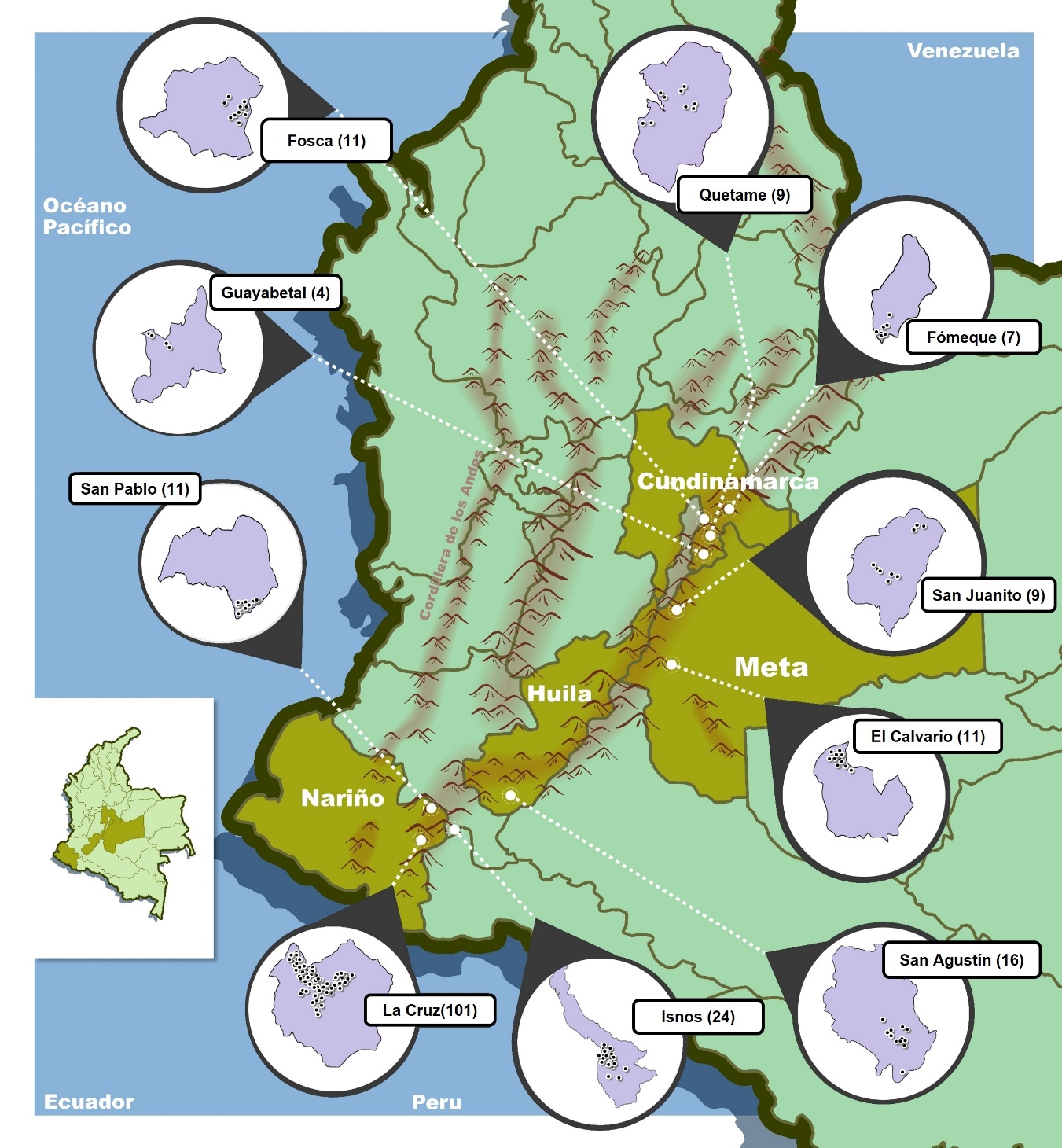 Número de encuestas realizadas en los principales municipios productores de C. edulis en la región andina colombiana. Cundinamarca, Meta, Huila y Nariño. 2020.