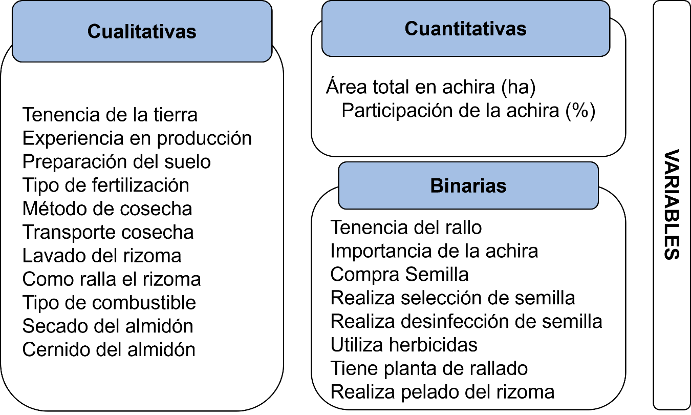 Variables de tipificación de productores de achira