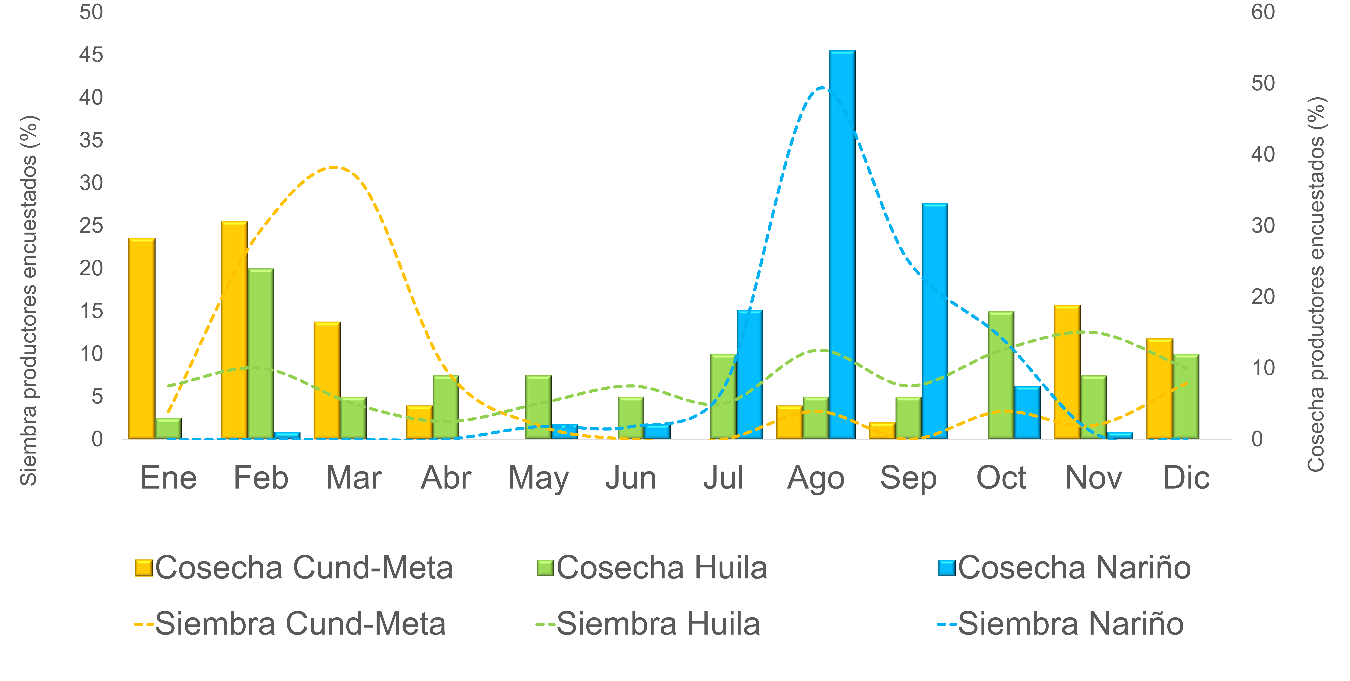 Meses de siembra y cosecha de 203 productores de achira encuestados en Huila, Nariño, Cundinamarca y Meta.