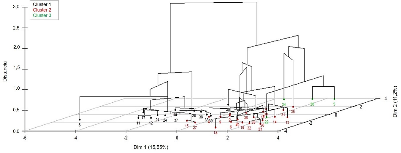 Análisis de clúster jerárquico del Huila.