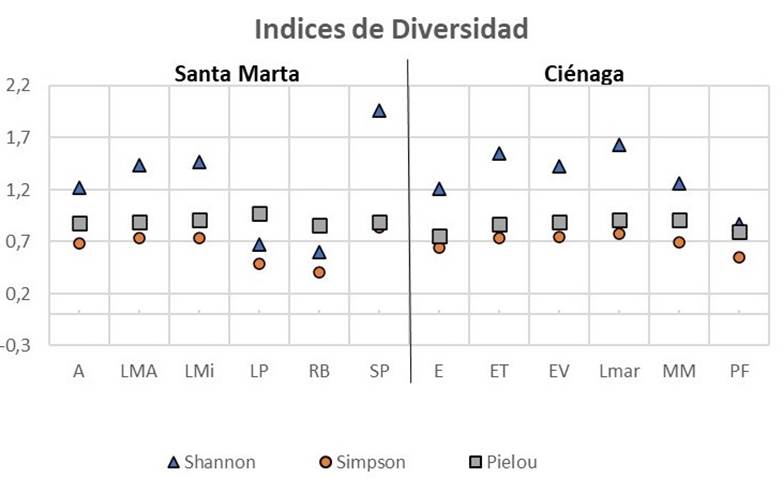 Índices de diversidad utilizados para describir las comunidades de HMA colectadas de diferentes puntos de muestreo en el cultivo de mango cv. azúcar en Magdalena, Colombia.