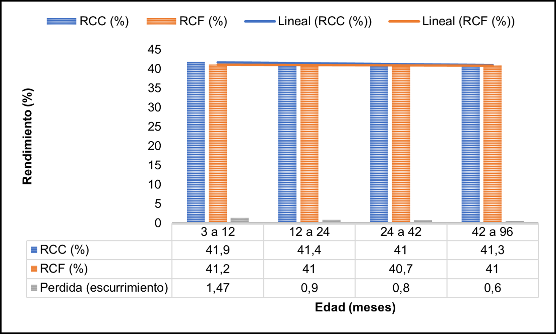 Tendencia del rendimiento a la canal caliente (RCC) y fría (RCF), considerando la edad de sacrificio.