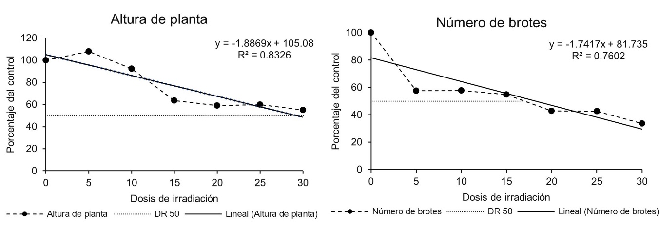 Análisis de regresión y dosis de reducción del 50% de las variables altura de planta y número de brotes de plantas in vitro de malanga Blanca irradiada con rayos gamma.