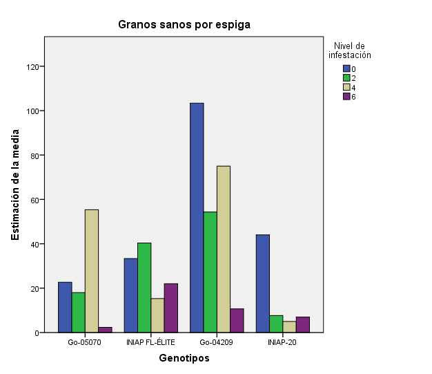 Influencia de los genotipos en la cantidad de granos sanos ante la infestación.