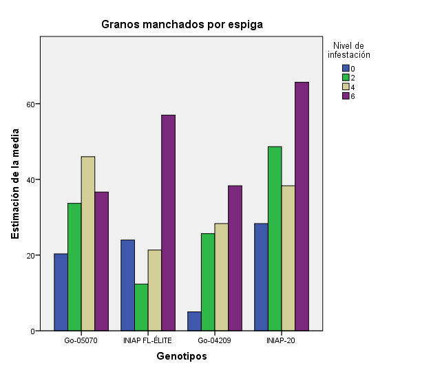 Influencia de los genotipos en la cantidad de granos manchados ante la infestación.