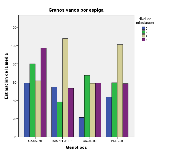 Influencia de los genotipos en la cantidad de granos vanos ante la infestación.