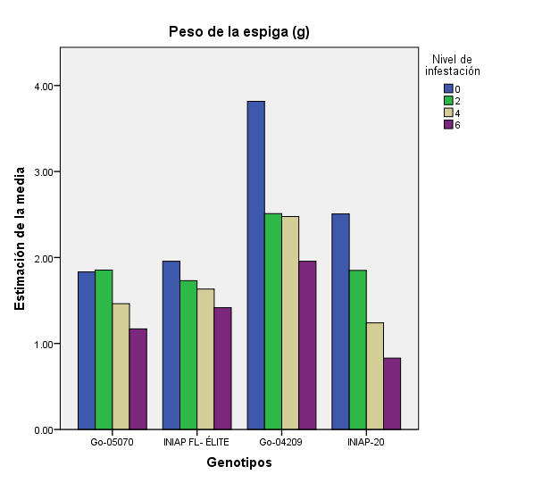 Influencia de los genotipos en el peso de la espiga ante la infestación.