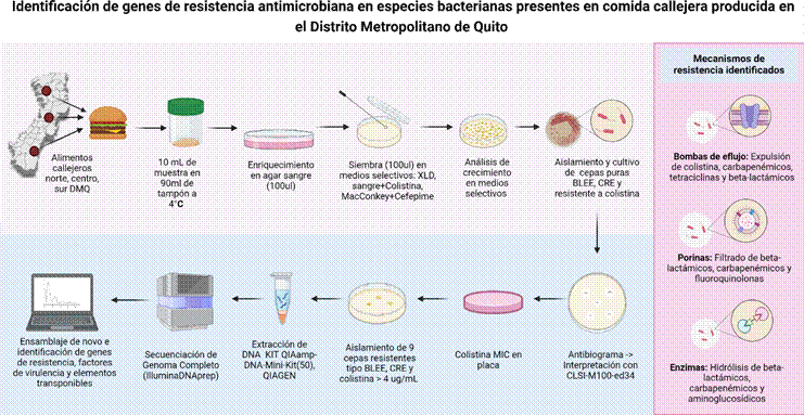 Identificación de genes de resistencia antimicrobiana en especies bacterianas presentes en comida callejera producida en el DMQ.*