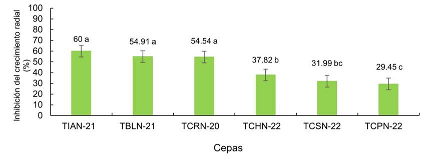 Crecimiento de seis cepas nativas de Trichoderma spp. sobre Sclerotium sp., correspondiente a cultivos duales. (Letras diferentes indican diferencias significativas para Tukey, p = 0,05).