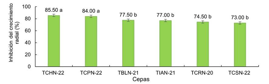 Crecimiento de seis cepas nativas de Trichoderma spp. sobre Fusarium sp., correspondiente a cultivos duales. (Letras diferentes indican diferencias significativas para Tukey, p = 0,05).