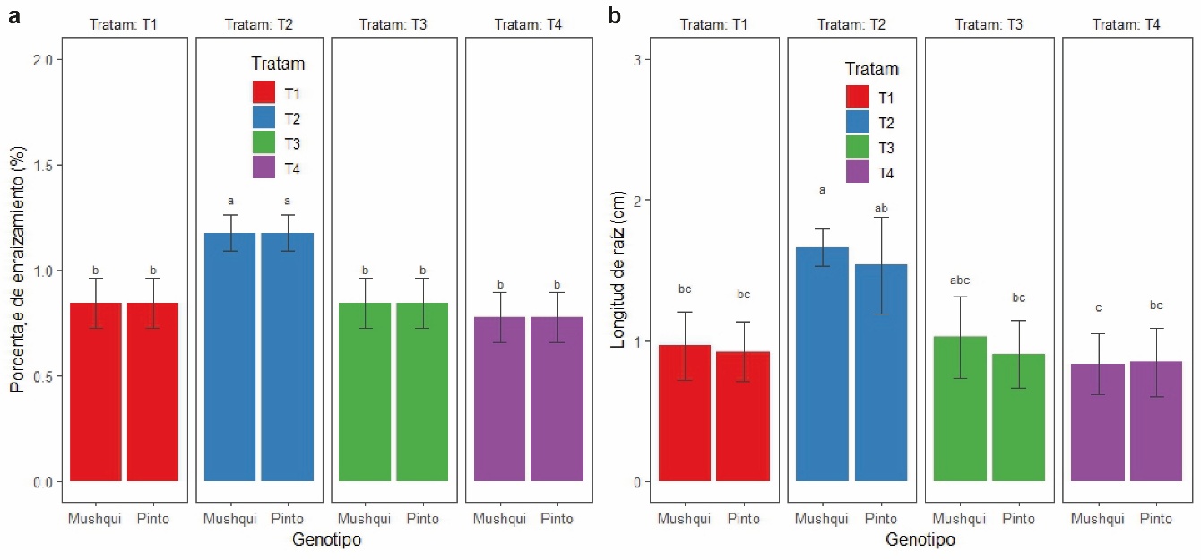 Respuesta morfogénica de los segmentos nodales de sacha inchi colocados en diferentes concentraciones de reguladores de crecimiento. a) porcentaje de enraizamiento, b) longitud de raíces adventicias. Los datos son presentados con la media ± desviación estándar y diferentes letras indican diferencias significativas en los parámetros evaluados para p ≤ 0,05 de acuerdo con la prueba Tukey. T1 0,5 mg L-1 AIB, T2 1,0 mg L-1 de AIB, T3 2 mg L-1 de AIB, T4: 0,5 mg L-1 de ANA + 1 mg L-1 de AIB.