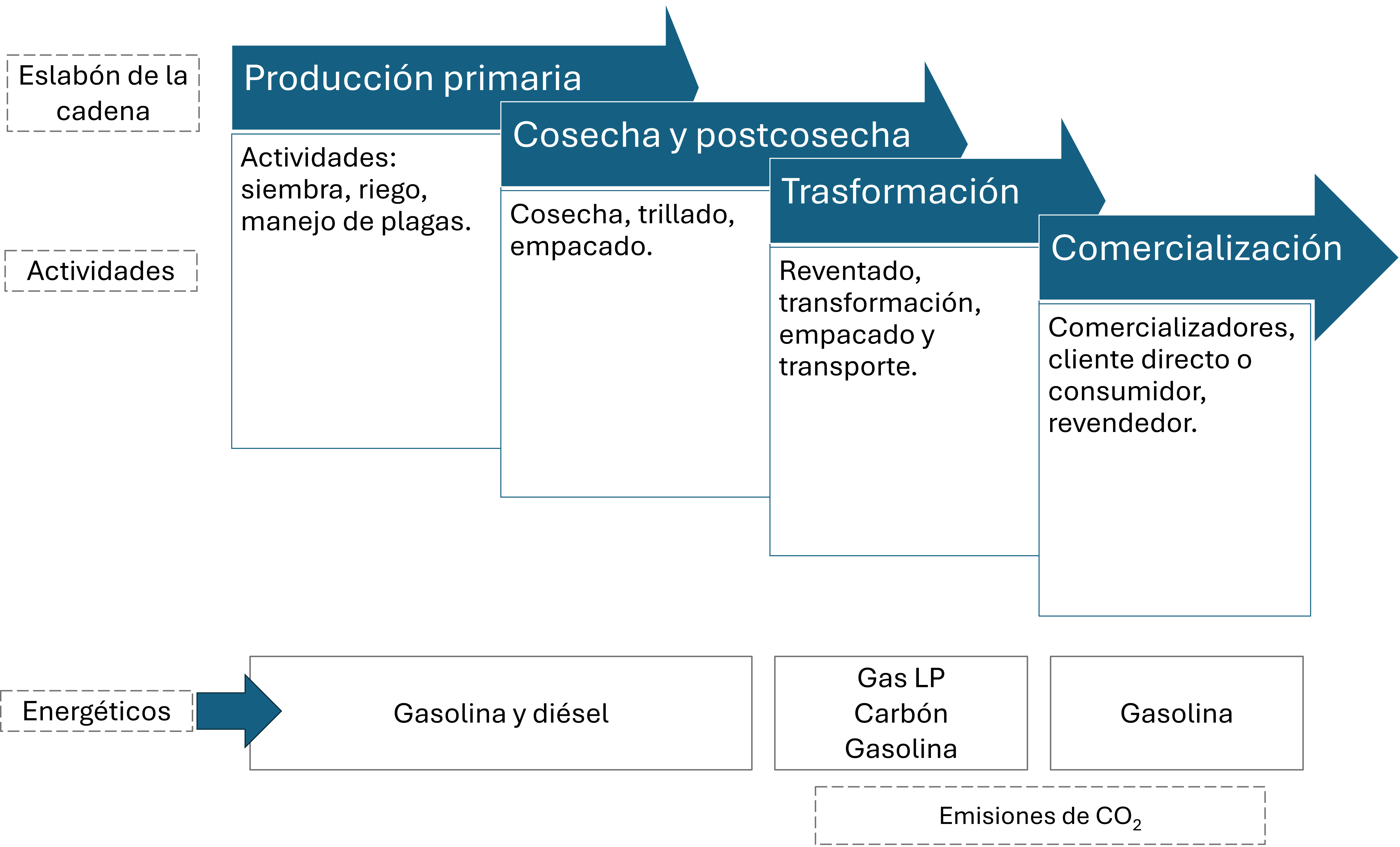 Alcance de análisis: la CCA de amaranto.