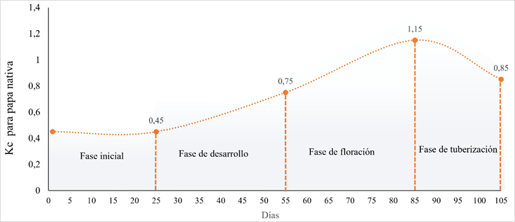 Kc del cultivo de variedades precoces de papa nativa.
