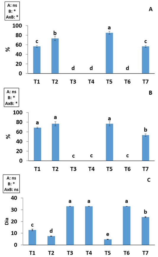 Germinación y tiempo de latencia de papayita serrana Vasconcellea pubescens A. DC. almacenado por 6 años. A) Porcentaje de germinación al 8% de contenido de agua. B) Porcentaje de germinación al 9% de contenido de agua. C) Tiempo de latencia. T1: + GA3 200 ppm 24 h-1. T2: + GA3 400 ppm 24 h-1. T3: + KNO3 2,5% 24 h-1. T4: + KNO3 1,5% 24 h-1. T5: + escarificación mecánica. T6: + Agua caliente 70 °C 5 minutos-1. T7: Sin tratamiento pre germinativo. ns: no significativo. *: diferencia significativa. Dentro de cada figura, A: factor ‘Contenido de humedad de la semilla’, B: factor ‘tratamientos pregerminativos’.