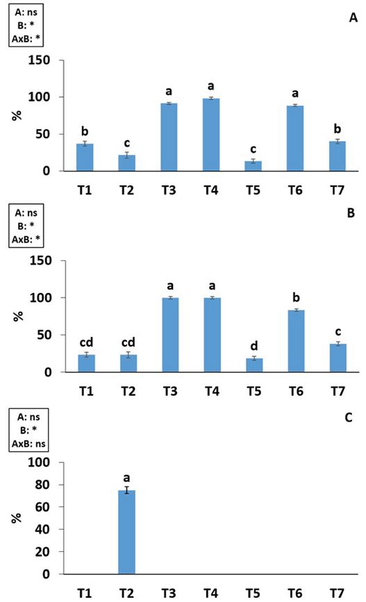Semillas duras y fitotoxicidad en cotiledones de papayita serrana (Vasconcellea pubescens A. DC.), almacenado por 6 años. A) Porcentaje de semillas duras al 8% de contenido de humedad. B) Porcentaje de semillas duras al 9% de contenido de humedad. C) Porcentaje de semillas con tejido dañado. T1: + GA3 200 ppm 24 h-1. T2: + GA3 400 ppm 24 h-1. T3: + KNO3 2,5% 24 h-1. T4: + KNO3 1,5 % 24 h-1. T5: + escarificación mecánica. T6: + Agua caliente 70 °C 5 minutos-1. T7: Sin tratamiento pre germinativo. ns: no significativo. *: diferencia significativa. Dentro de cada figura, A: factor ‘Contenido de humedad de la semilla’, B: factor ‘tratamientos pregerminativos’.