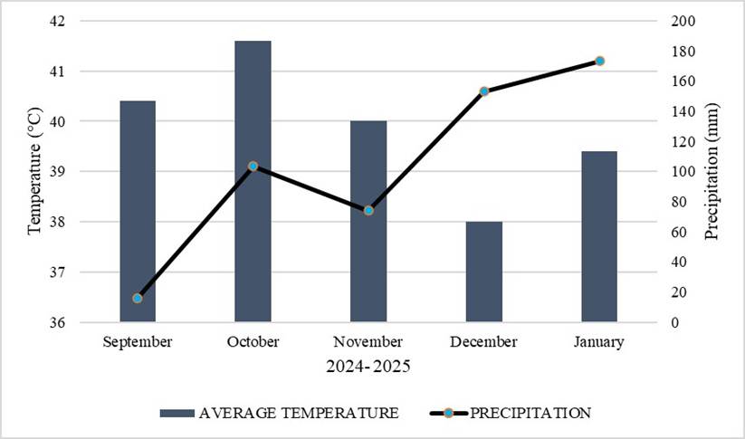 Mean temperature and precipitation from September 2024 to January 2025.