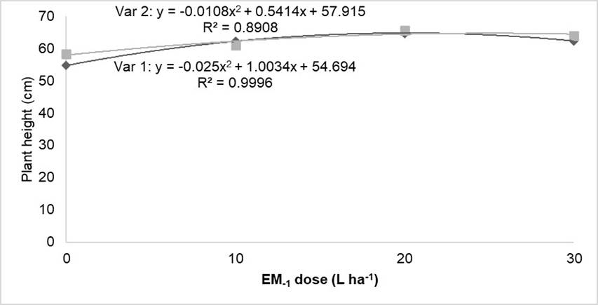 Regression analysis of plant height in soybean cultivars as affected by the application of EM-1.