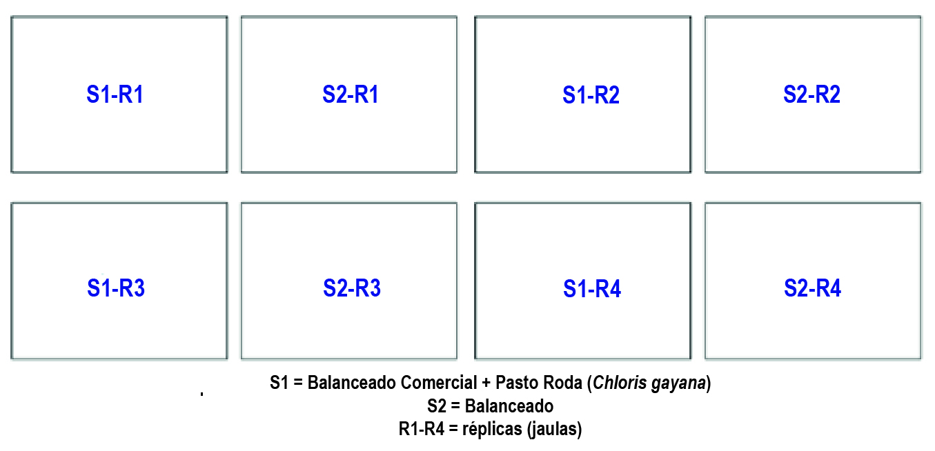 Distribución de unidades experimentales y réplicas.
