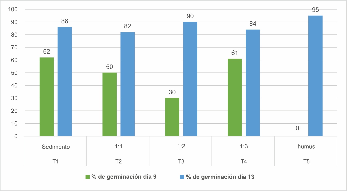 Porcentaje de germinación acumulada de semillas de Cacao Nacional Fino de Aroma a los 9 y 13 días de evaluación post-siembra.