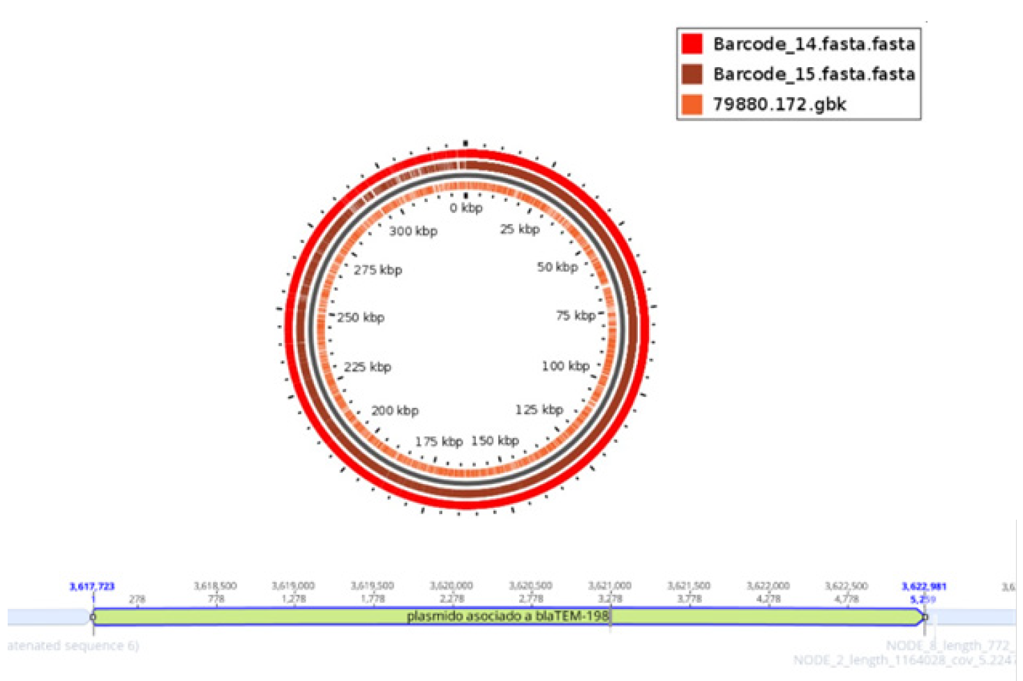 mceclip1-62ec684bfc8cad7ed64c05ae1e03ea12.png